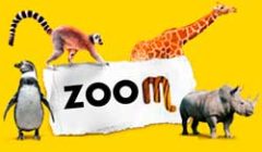 zoomtorino