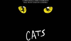 cats2026immaginesito
