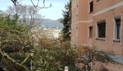 IMG-20260312-WA0011-2