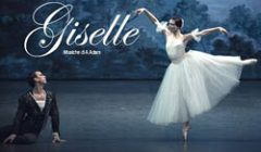 giselle2026immaginesito giselle2026immaginesito